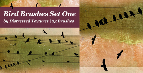 Bird Brushes Set 1 Distressed Textures