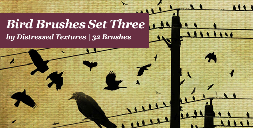 Bird Brushes 3 Distressed textures