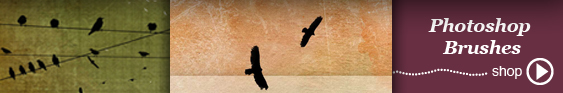 Shop Photoshop Brushes Shop Photoshop Brushes